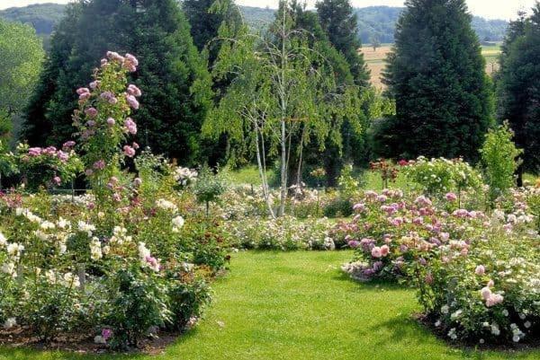 Landhaus Ettenbuehl Bed And Breakfast Бад-Беллинген Экстерьер фото